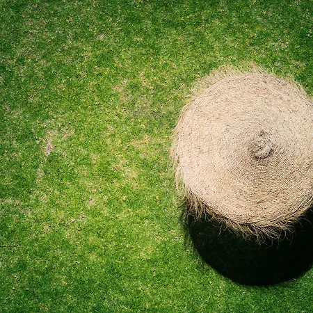 Monarque Torreblanca Fuengirola
