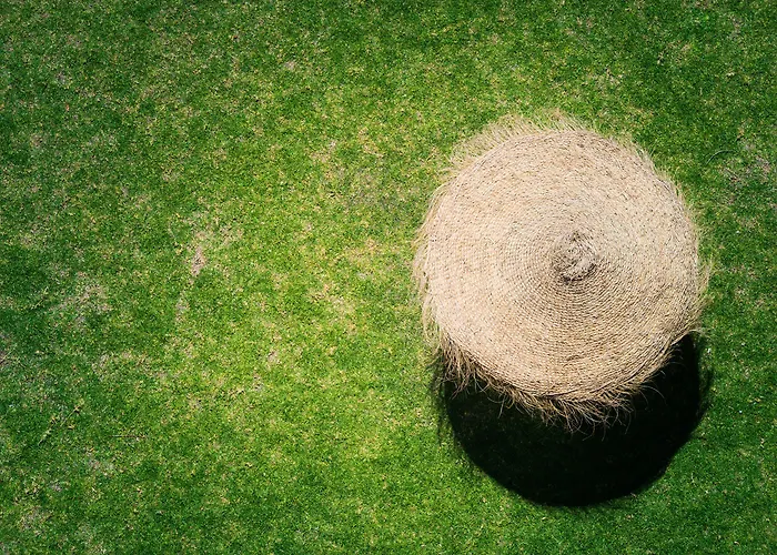 Monarque Torreblanca Fuengirola